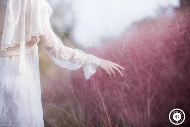 玛米亚奥特曼在线观看，玛米亚（都是因为热爱丨探图摄影师专访）