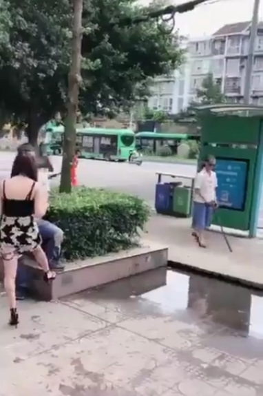 树枝666是什么梗，小黑子树枝666是什么梗（是一场B站网友的群体狂欢）