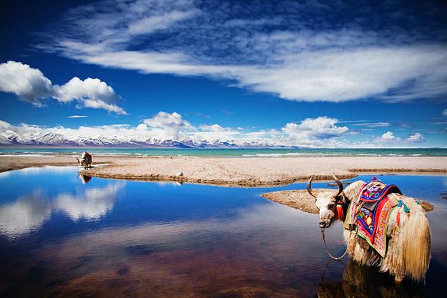 彩虹岛攻略，类似彩虹岛的手游（新婚度蜜月首选圣地）