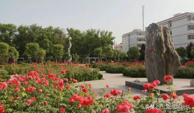 三原县南郊中学，陕西三原县有哪些高中（一半都藏在了南郊中学和北城中学）