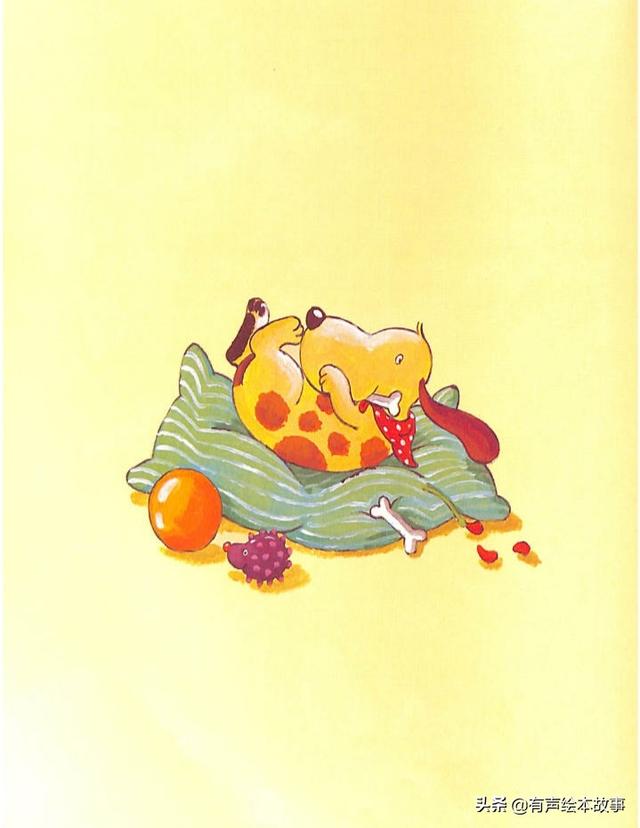 鼻子尖的人的性格特征，鼻子看相:鼻头（有声绘本故事《幸福到了鼻子尖》）