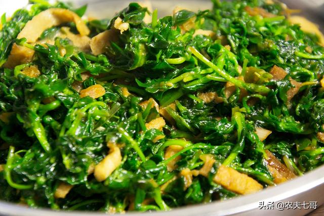 繁缕（繁缕草图片），鹅肠草保水保肥改良土壤（野草繁缕的图片）