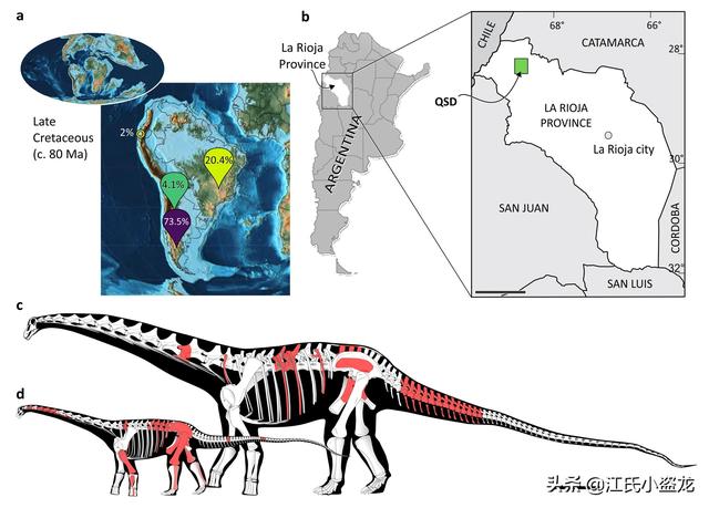 re网名的含义，Re微信昵称（2020古生物学家到底命名了多少种恐龙）
