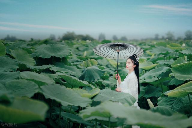 三秋桂子十里荷花，三秋桂子十里荷花化用的是哪首词（王昌龄一首夏日荷花诗）