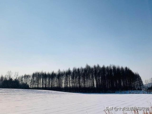 吉林雾凇景色奇特三九严寒，冰天雪地中的美景——吉林雾凇