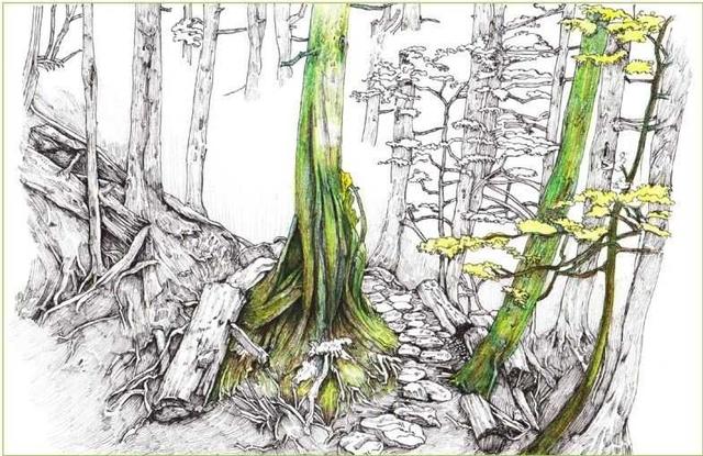 马克笔绘画教程风景画，马克笔绘画教程入门（适合初学者学习的彩铅风景画步骤教程）