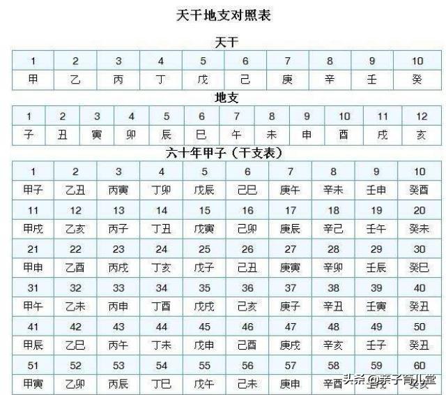 子年是什么年，春节给孩子讲讲生肖背后的文化知识吧