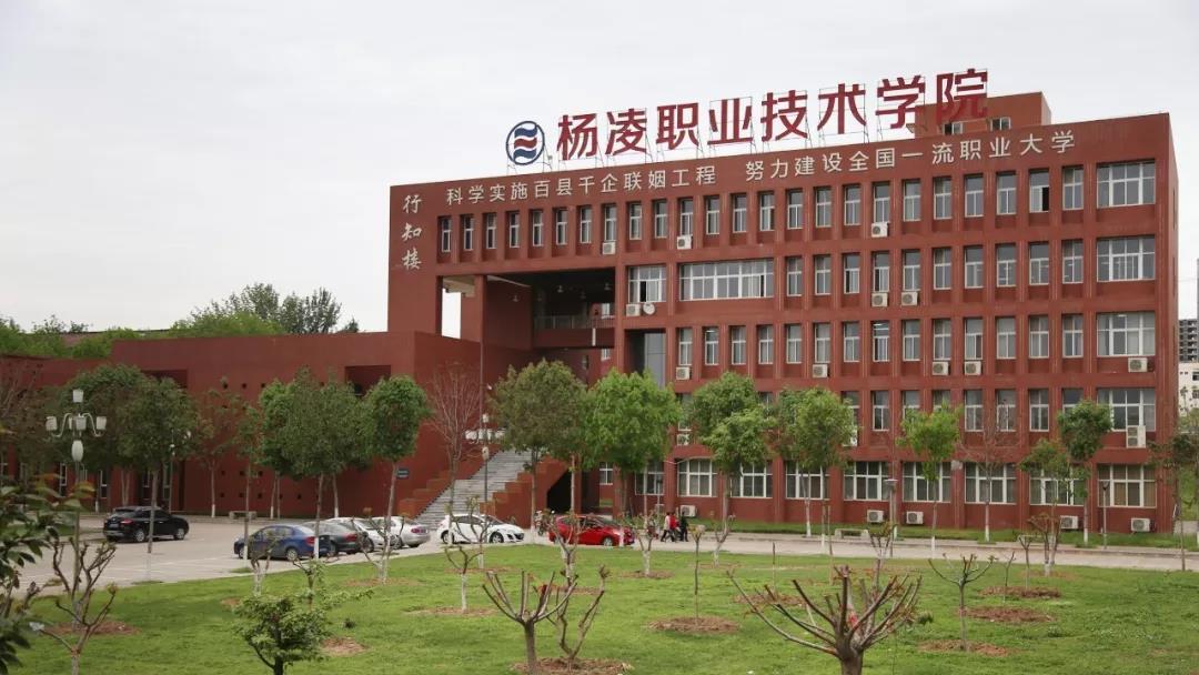 陕西省专科学校（陕西省最好的3所大专）