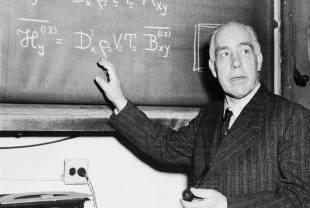 薛定谔的猫理论，薛定谔的猫是什么理论（薛定谔方程则敲开了微观世界大门）