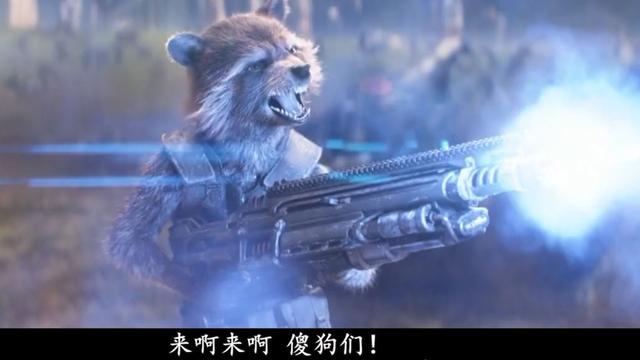 raccoon是什么动物，raccoon是什么动物parrot（《漫威系列》每天一个漫威人物介绍—火箭浣熊）