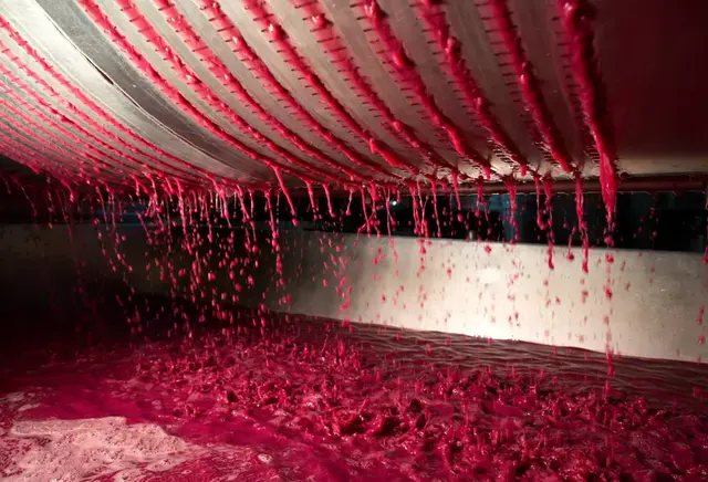 葡萄酒的酿制方法，葡萄酒正确酿制方法（图解红葡萄酒的酿造过程）