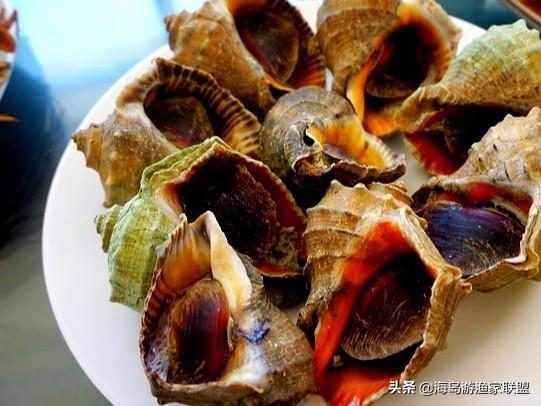 哈仙岛在哪里，哈仙岛附近还有什么岛（这一篇攻略就够了）