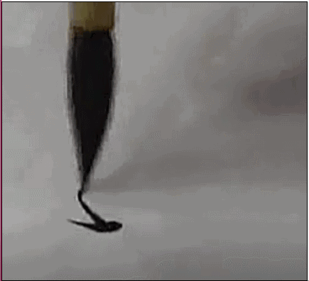 快的笔顺怎么写，快乐的快怎么写（每日练一字 ）