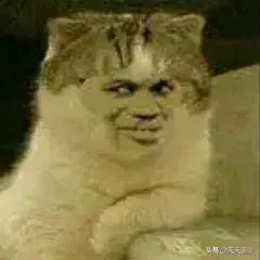 正长石和斜长石的主要区别，正长石化学式（长石族——一个庞大的宝石家族）