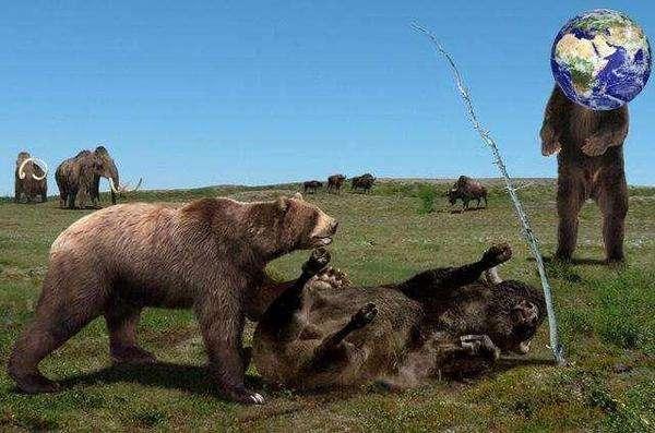 全球最大的熊类,哪种熊是全球最大的熊类(身高5米相当于两层楼高)