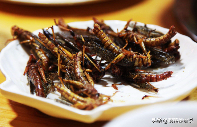 油炸蚂蚱，蚂蚱怎么做好吃（让其变成餐桌上的美食）