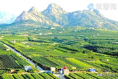 青岛旅游景点介绍，青岛旅游景点介绍五十字（青岛10大必玩旅游景点排行）