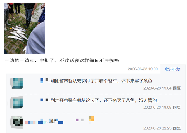 翘嘴鱼多少钱一斤， 翘嘴鱼叫什么名字（翘嘴鱼群聚集巢湖口）