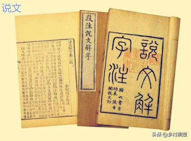关于白菜介绍，关于白菜的介绍（一口气搞懂白菜的前世今生）