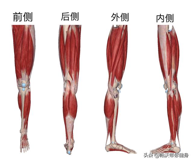 大腿太粗怎么瘦下来，大腿太粗怎么瘦下来18岁以下（所有瘦腿的方法都在这里了）