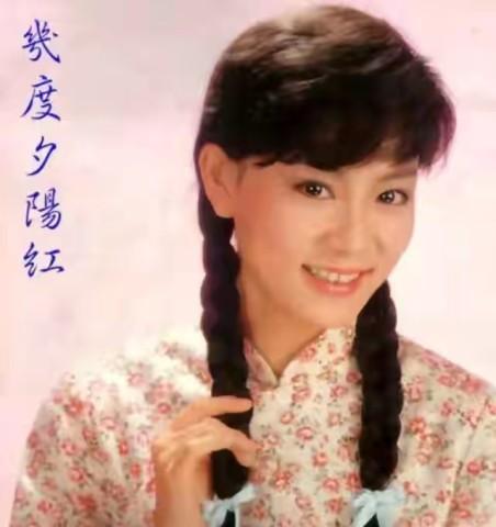 刘德凯和刘雪华，刘雪华电视剧大全集（刘德凯就这样改写了刘雪华的结局）