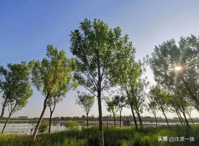 浮沱河在什么地方，滹沱河游玩攻略（——石家庄的母亲河）