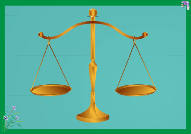 自制秤为什么不能称东西，自制天平秤实验认知<动画版>