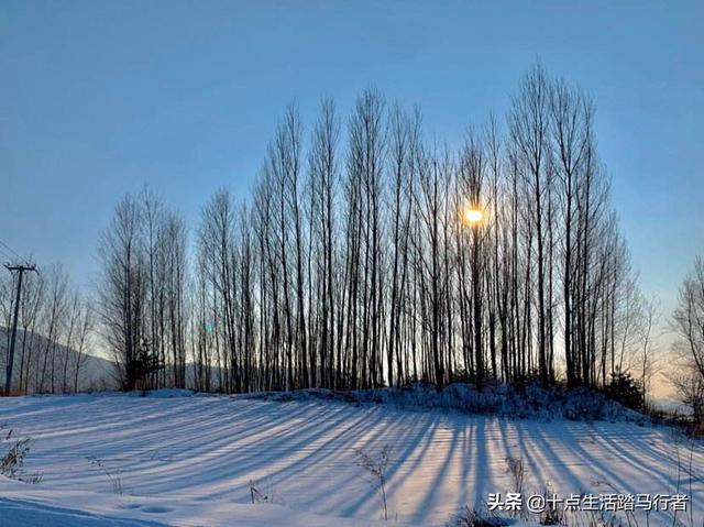 吉林雾凇景色奇特三九严寒，冰天雪地中的美景——吉林雾凇