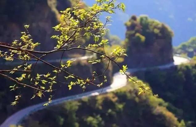 合肥周边自驾游，合肥周边10大自驾目的地（合肥周边骑行或自驾游风景超美的7条公路推荐）