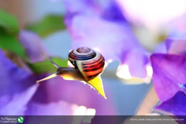 怦然心动美图，怦然心动最新图片（美图 ， 这一瞬间的怦然心动）