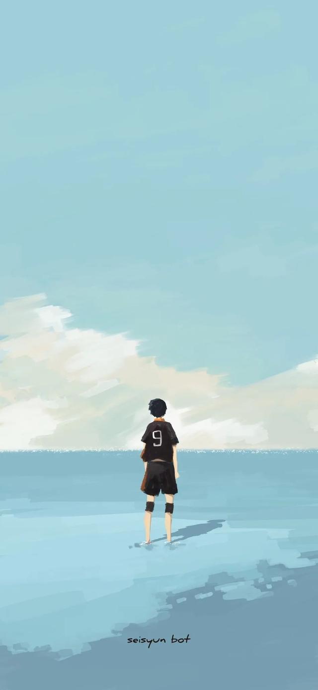 排球少年阵容介绍，《排球少年》最后什么结局