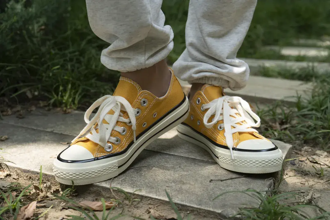 海波丽是什么材料，海波丽是海绵吗（源自1916年的经典国货）