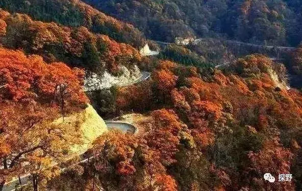 安徽月亮湾自驾游攻略，安徽月亮湾风景区（安徽这5条安徽自驾游经典线路必须去）