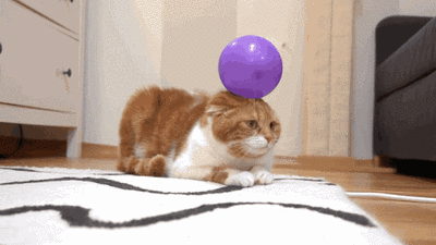 冬天会不会打雷，冬天会不会打雷下雪（莫非天太冷，雷公也猫冬）