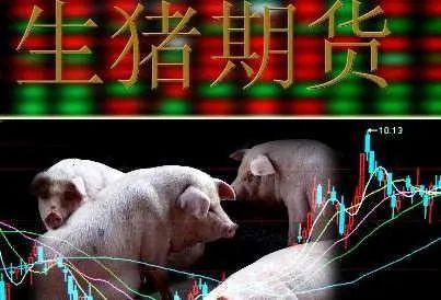 交割仓库是什么意思，交割仓库是什么意思呀（轻松弄懂生猪期货）