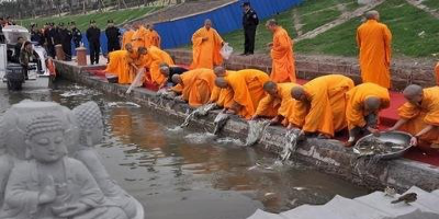 放生是什么意思，可能没有福报，反种下恶果