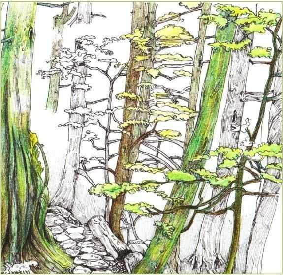 马克笔绘画教程风景画，马克笔绘画教程入门（适合初学者学习的彩铅风景画步骤教程）