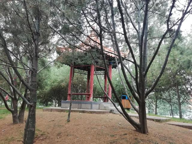 太阳地球月亮运行图，地球月球运动轨迹图（公园虽小，历史文化元素不少）