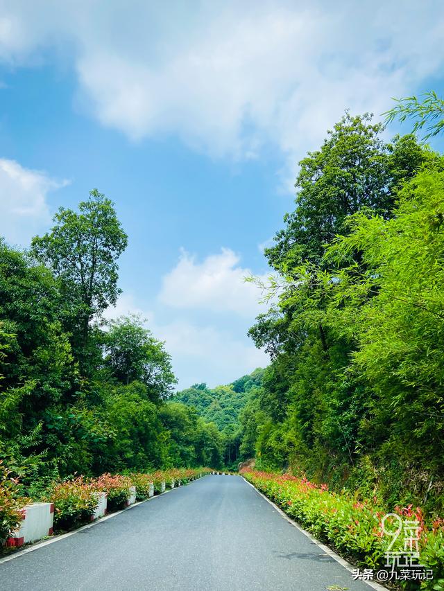 余杭径山旅游攻略一日游，余杭径山一日游攻略（暑期遇见鸬鸟溯溪清凉一夏）