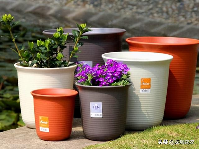 5加仑等于多少升，一桶5加仑等于多少升（关于花盆的常见尺寸问题）