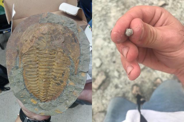 三叶虫因为什么而得名，三叶虫的由来（演化20000个种）