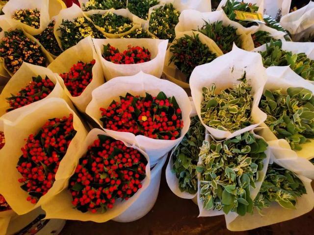 荷花最好看的品种是什么，这花最好看、最好养