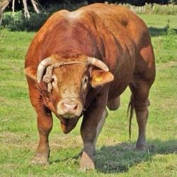 第二产业是什么,几句话告诉你什么是三大产业(第二产业是什么密集型) 第二产业是什么,几句话告诉你什么是三大产业(第二产业是什么密集型)