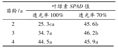 如何种植糖槭树，糖槭树怎么移栽（福建省龙岩市红翅槭引种与栽培技术）