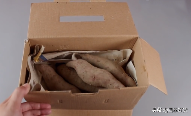 红薯怎么保存不会烂掉，红薯怎么样保存不会烂（这个方法越放越甜）