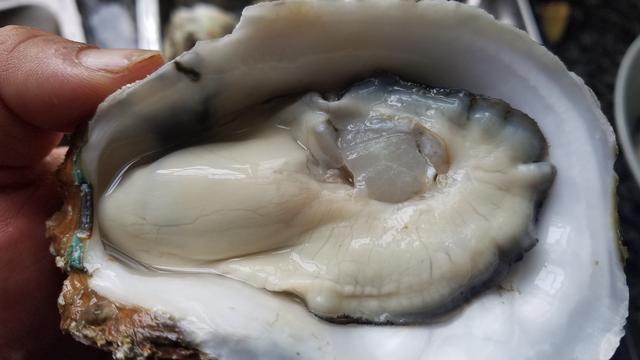 煮生蚝需要放什么材料，煮生蚝需要放什么材料去腥（营养丰富又滋补值得一吃）