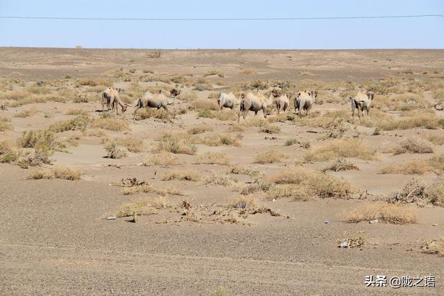 大西北是哪里，哪些地方属于大西北（在大西北有一个赛江南的地方叫张掖）
