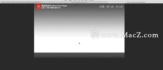 苹果flash插件怎样安装（如何为Safari浏览器安装Flash插件）