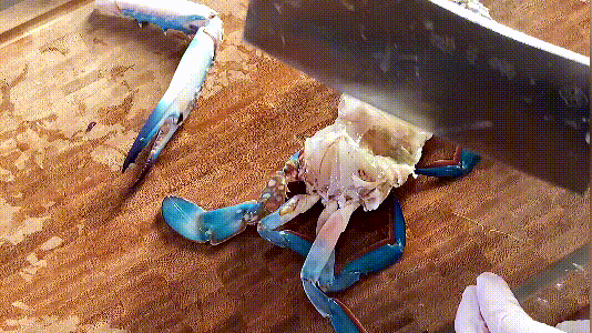 香辣梭子蟹的做法，秘制香辣梭子蟹的做法步骤是什么（秘制香辣蟹这样做才正宗）