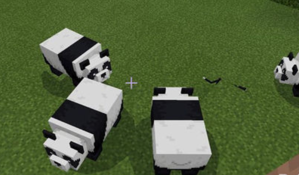 我的世界熊猫种类介绍，我的世界：不同熊猫有不同个性